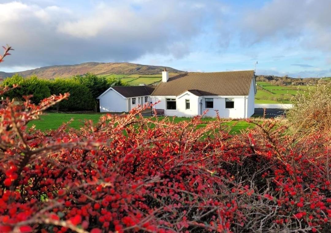 Cathleen'S Cottage نيوري المظهر الخارجي الصورة